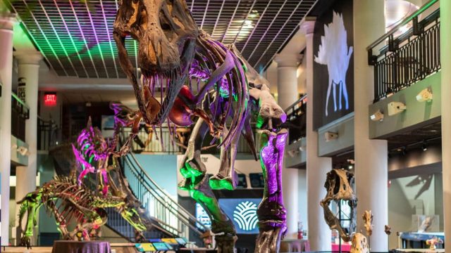 Preserving History: The Academy of Natural Sciences Closes Its Doors